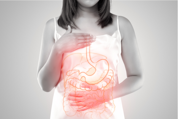 stomach_20230220_2.png