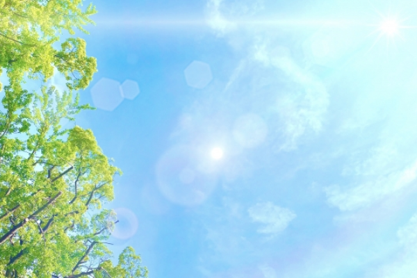 hiyakedome3.png