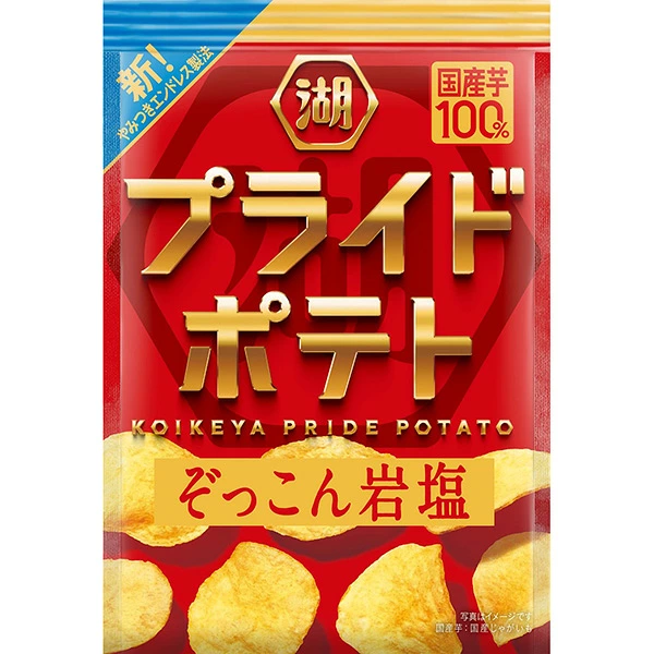 湖池屋 プライドポテト ぞっこん岩塩 55g×12袋 (1ケース)