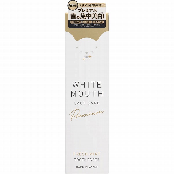 ホワイトマウス デンタルクレンジング ペースト フレッシュミント 40g