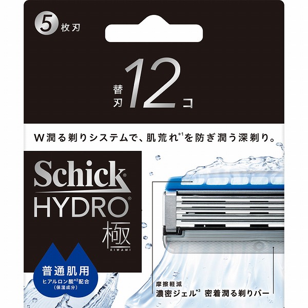 シック ハイドロ極 普通肌 替刃 12個