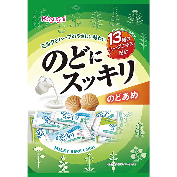春日井製菓  Ｎのどにスッキリ 125g×12個入り(1ケース)
