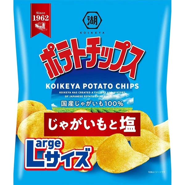湖池屋 Largeサイズ ポテトチップス じゃがいもと塩 108g×12袋 (1ケース)
