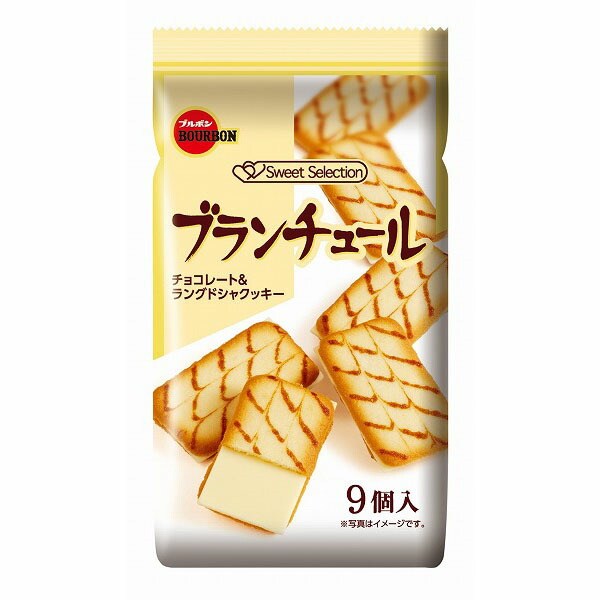 ブルボン  ブランチュール 9個×10袋入り(1ケース)