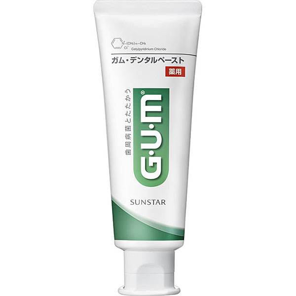 ガム・デンタルペースト(120g)【医薬部外品】