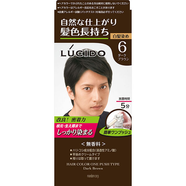 ルシード ワンプッシュケアカラー 6 ダークブラウン (1個) 【医薬部外品】