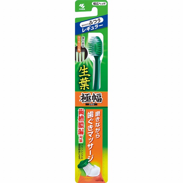 生葉極幅ブラシ レギュラー ふつう