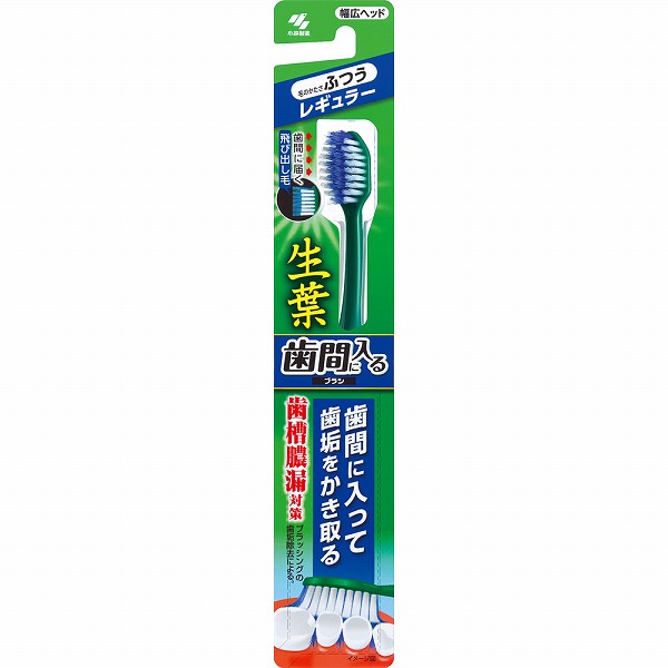 生葉歯間に入るブラシ レギュラー ふつう ※色は選べません