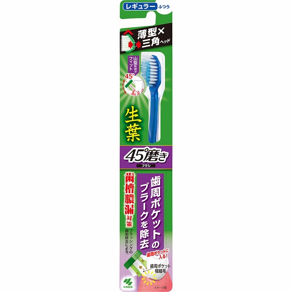 生葉45°磨きブラシ レギュラー ふつう
