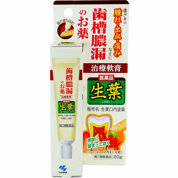生葉口内塗薬(20g)