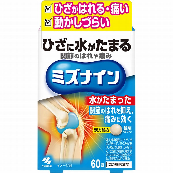 ★小林製薬 ミズナイン (60錠・5日分)×1個【第2類医薬品】